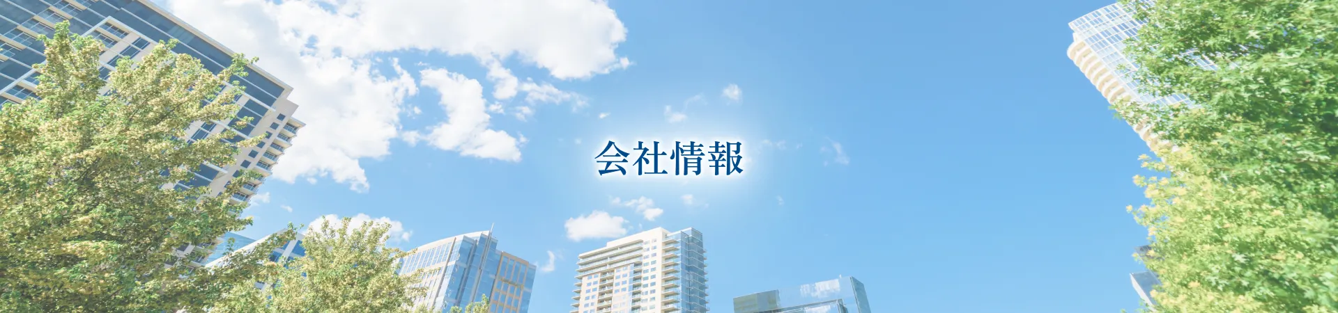 会社情報